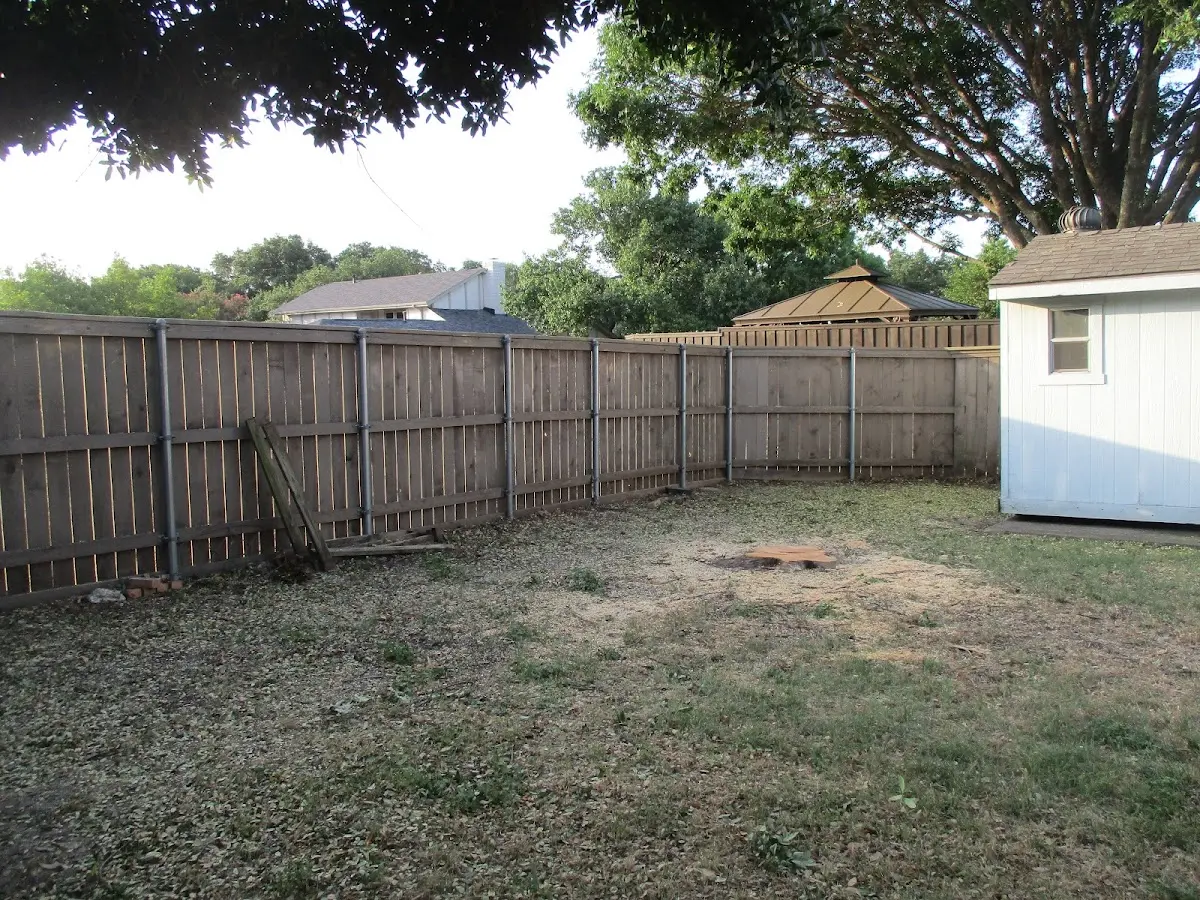 Cleared yard after professional tree removal in East Taunton